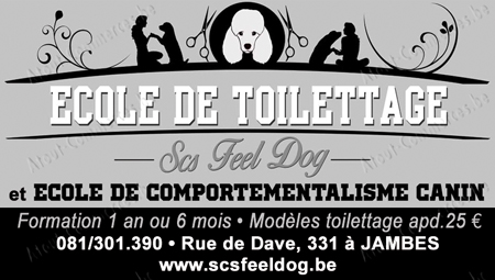 Feel Dog Scs